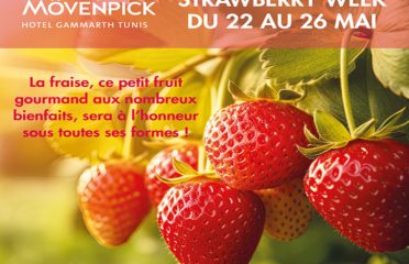 blog-grid-1-410x308